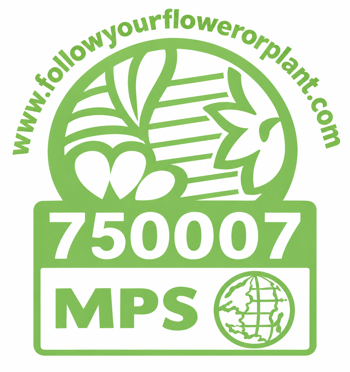 MPS Certification