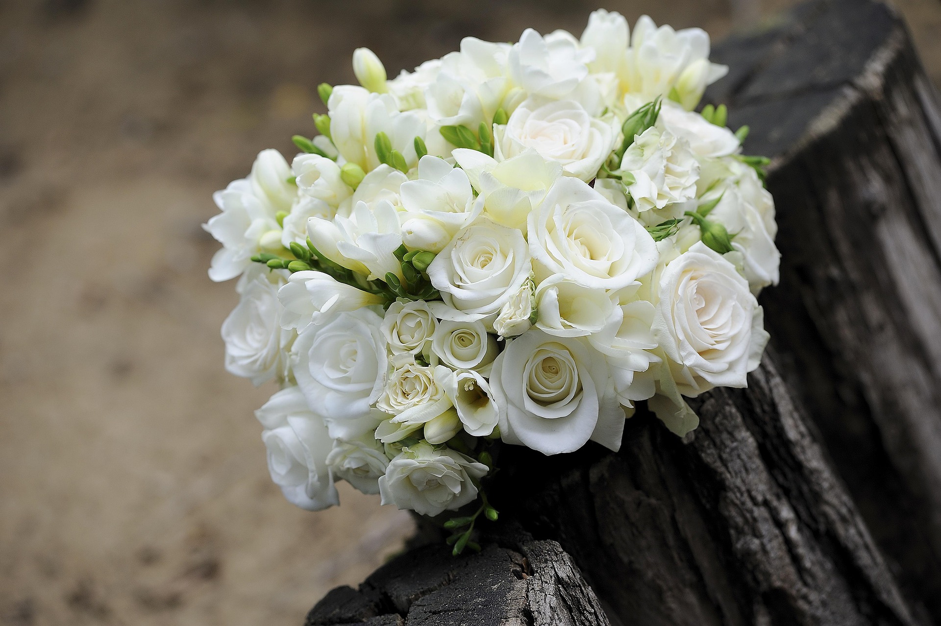 Bouquet Concept 4