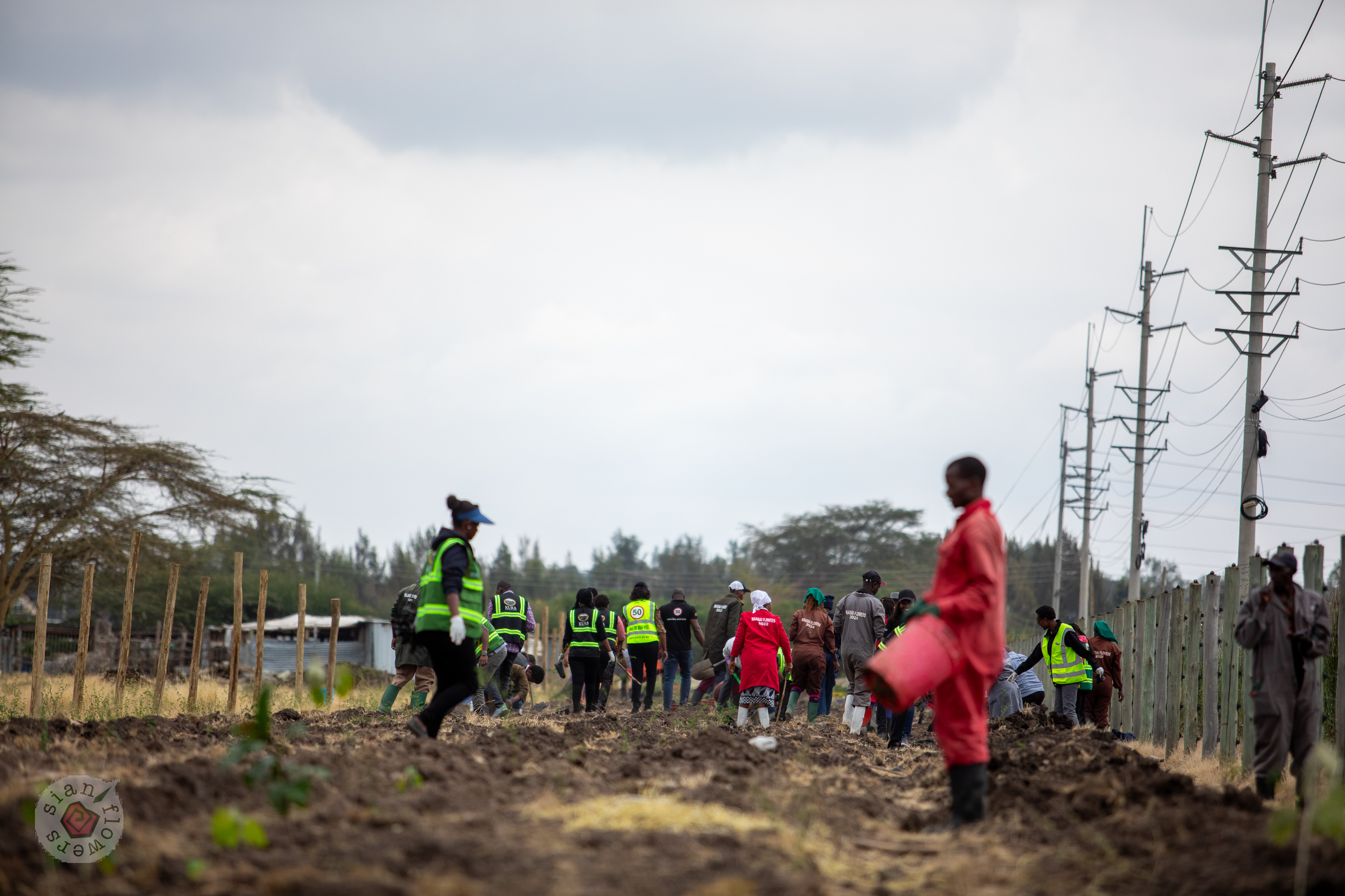 Water conservation in Equator Farm