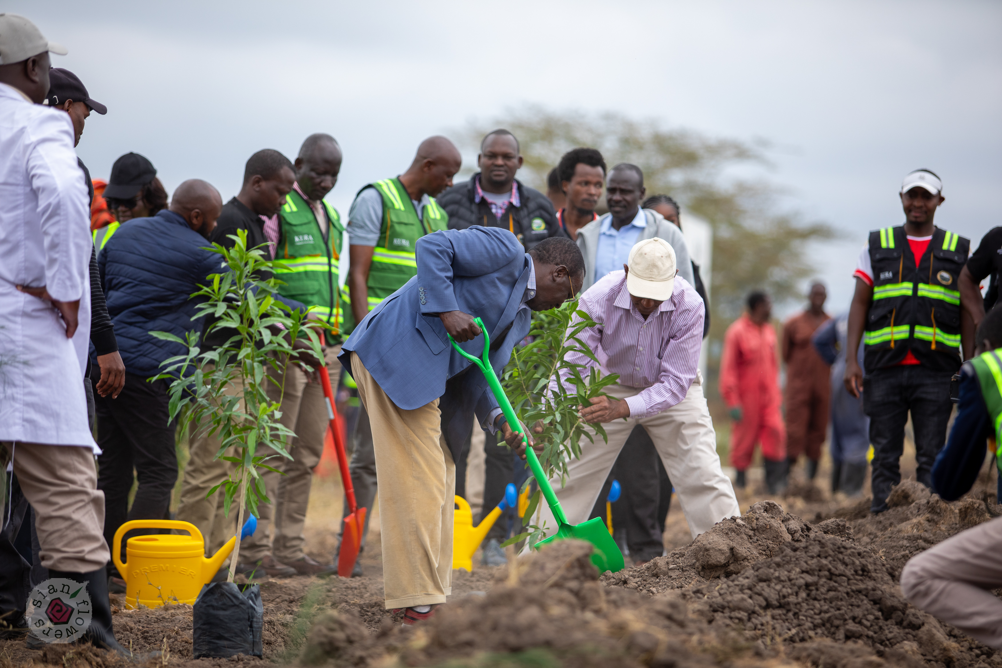 Tree Planting With KURA in Maasai Flowers